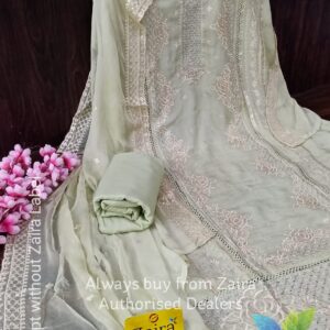 Organza Pakistani Style Suit ZM6286